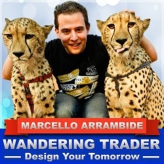 Wandering Trader