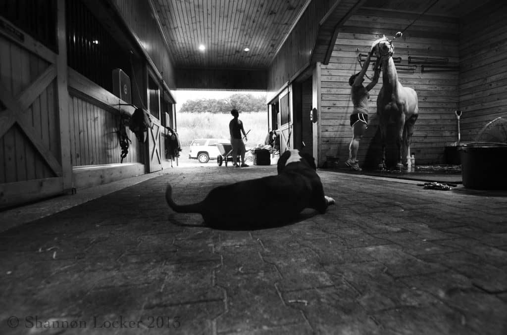 Travel Photography Tips Barn