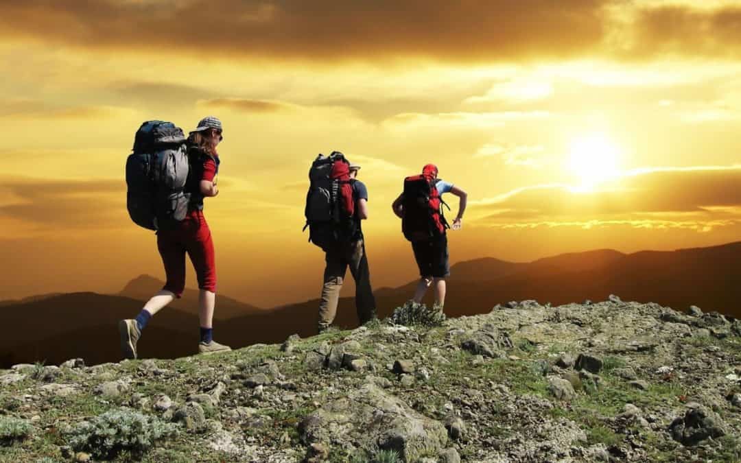 Staying Healthy While Traveling: A Quick Guide with Dr. Phyllis Kozarsky, M.D.