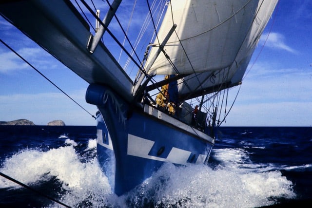Suzanne Heywood - Wavewalker