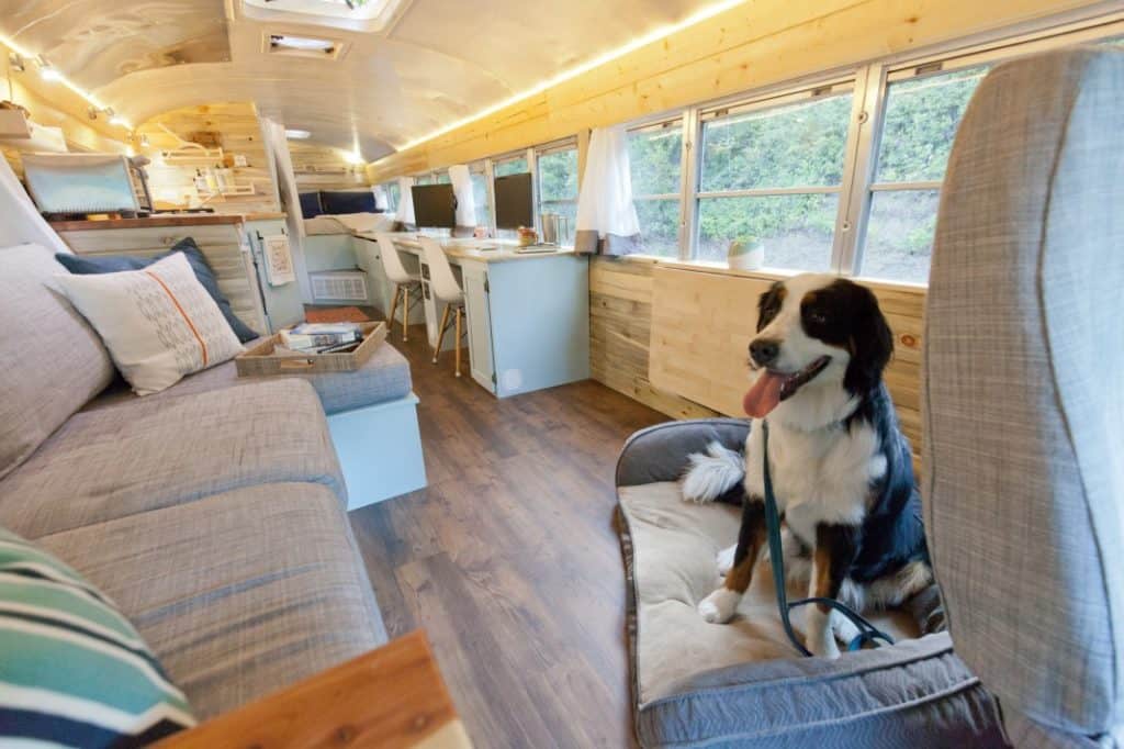 Zero To Travel Podcast Tales From A Converted School Bus: Working Full Time and Traveling With An Adventure Dog