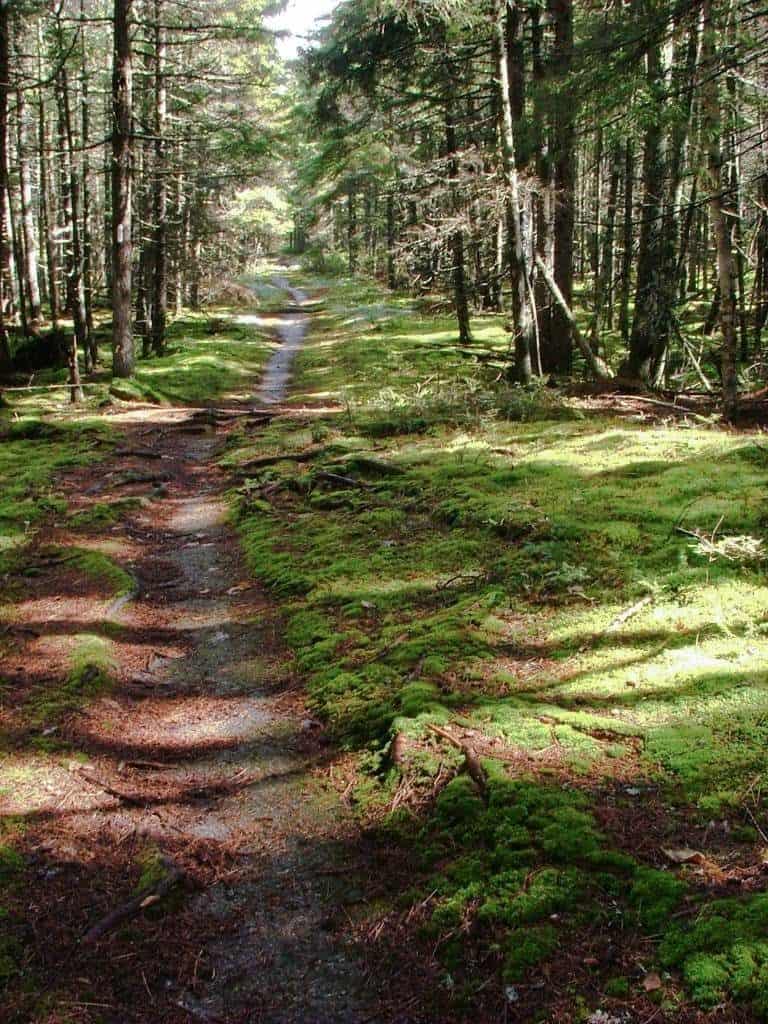 hike the Appalachian trail