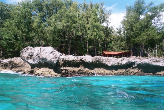 Finding Your Island Paradise: An Interview With Alex Sheshunoff