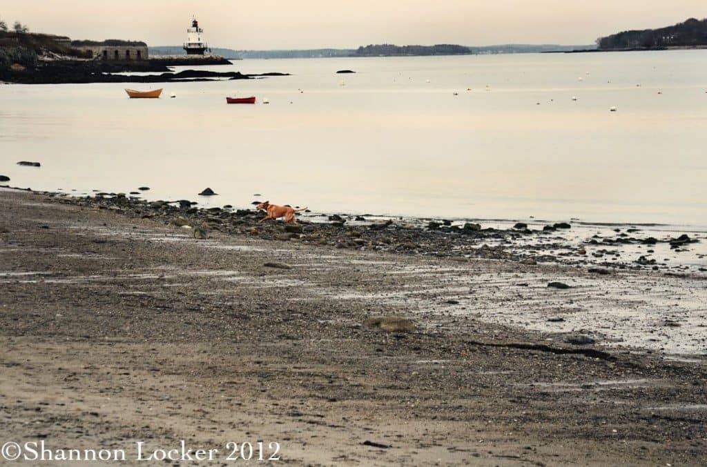 Travel Photography Tips Beach