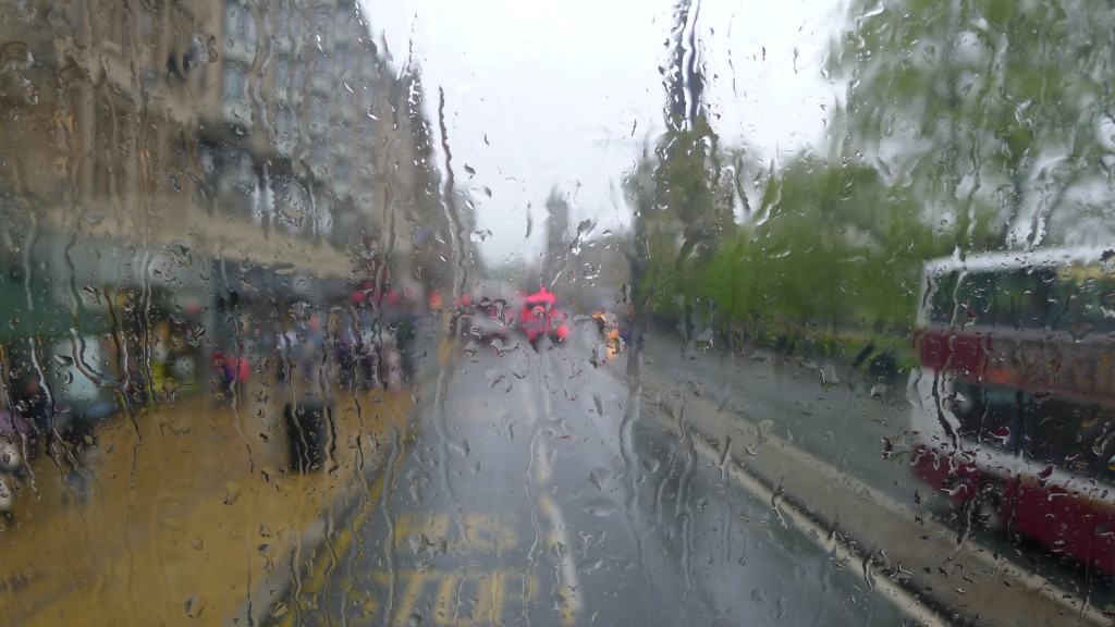 Rainy View