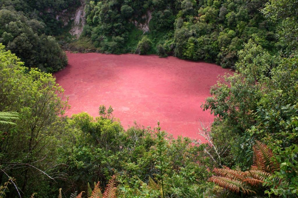 Hell on Earth - Erika Engelhaupt - Waimangu