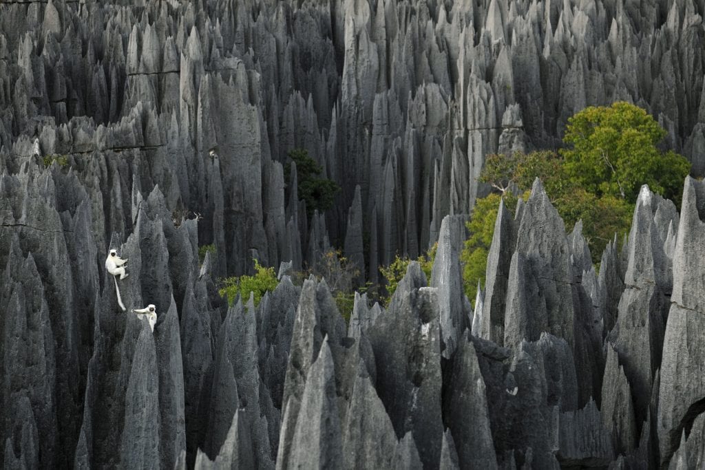 Hell on Earth - Erika Engelhaupt - Tsingy de Bemaraha