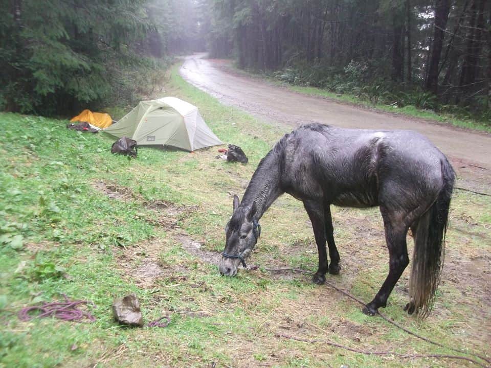 Zero To Travel Podcast A Horseback Ride Across the USA