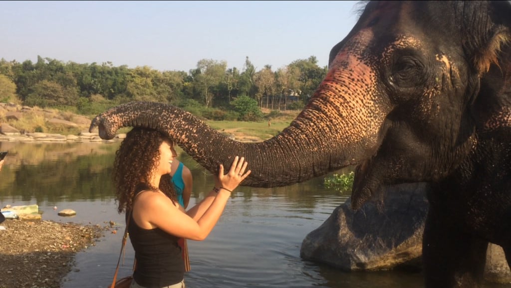 Zero To Travel Podcast Sofia With An Elephant Transition To Travel