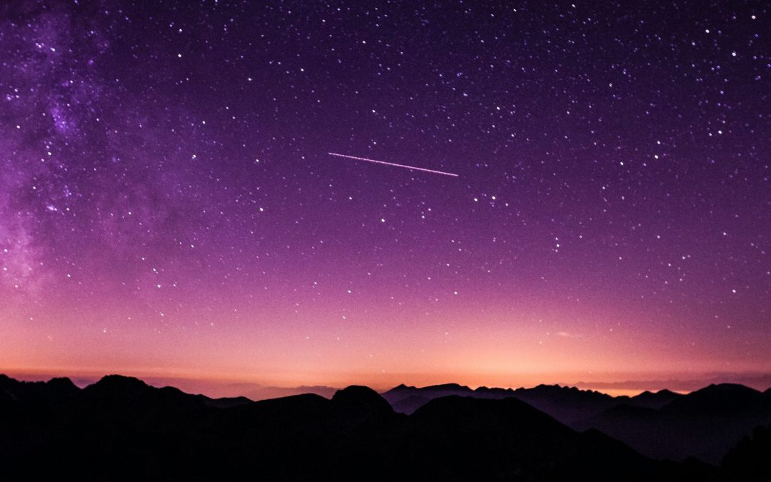 Travel Trends, Tools, and Tips (April 2024)