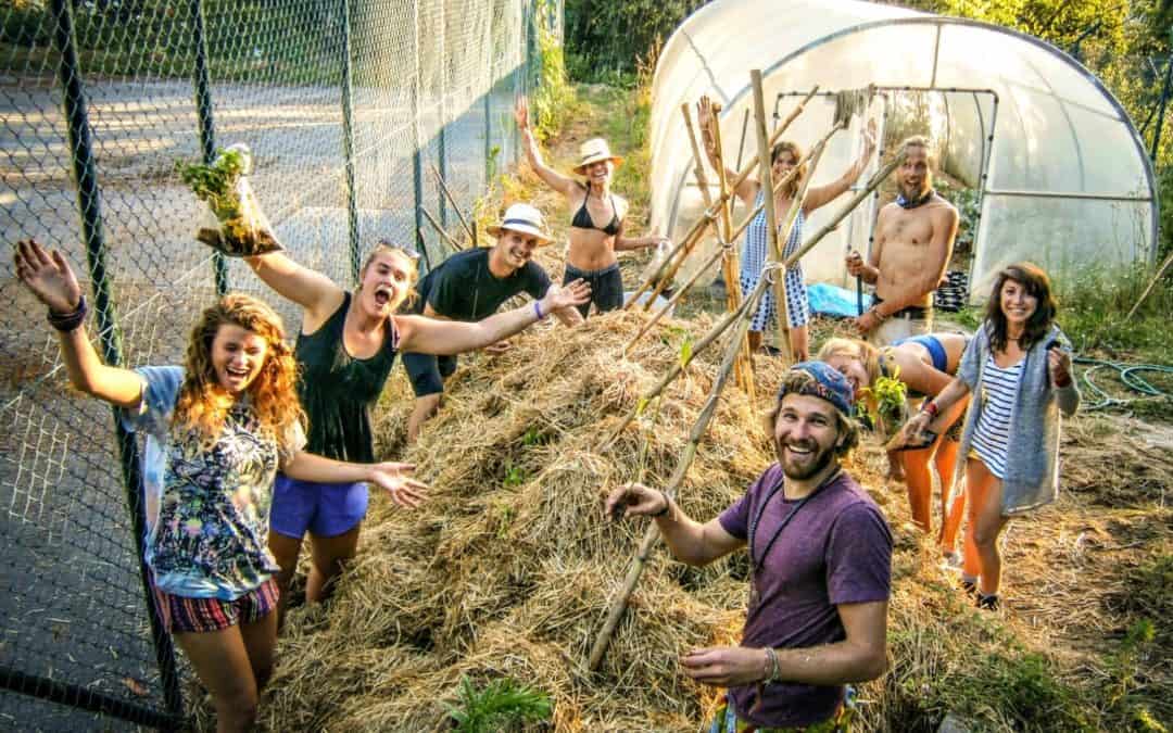 Travel Legends Series: The Story of WWOOF – An Interview With Founder Sue Coppard