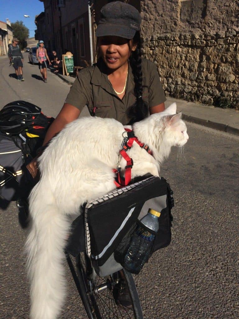 Zero To Travel Podcast Biking Through Europe and Post-Travel Reality