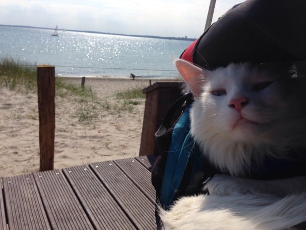 Biking Through Europe and Post-Travel “Reality”