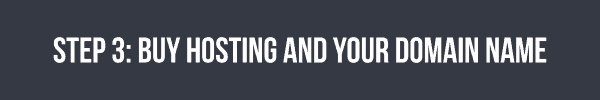 Step 3 - buy hosting and your domain name for your travel blog
