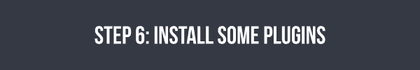 Step 6 - install some plugins to make your travel blog functional